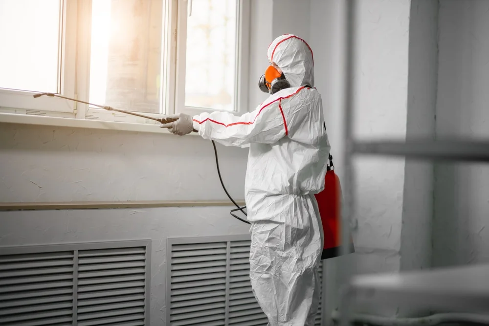 Professional mold remediation services in Parrish, FL